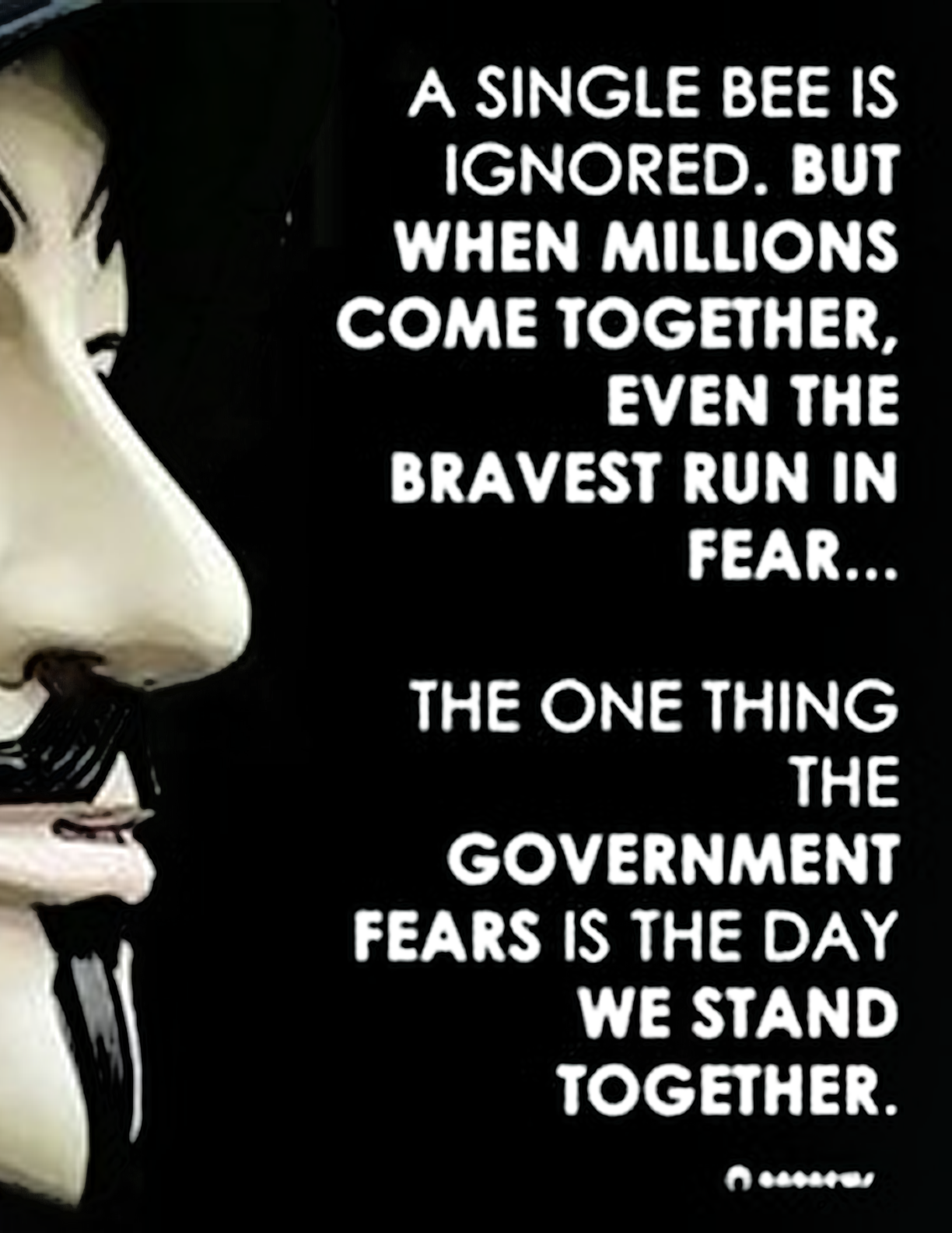 A single bee is ignored. But when millions come together even the bravest run in fear...  The one thing the government fears is the day we stand together.